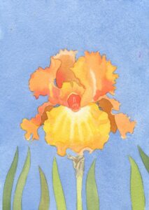 Watercolor Painting of an Iris (Watercolor Explorations with Jennifer Mazzucco)