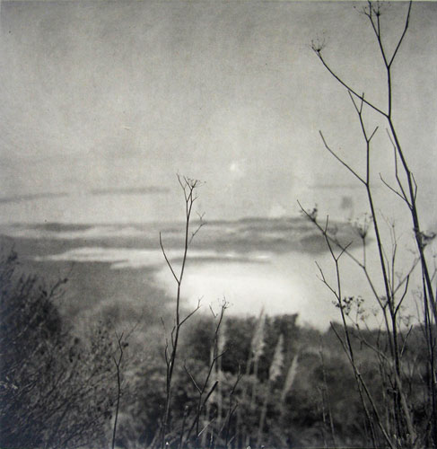 Branches, Point Molate, 2001
Photogravure, AP I/VII, 29x22